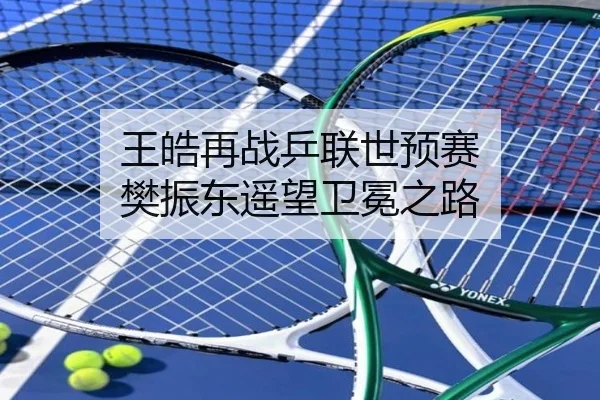 王皓再战乒联世预赛 樊振东遥望卫冕之路 - igameapp